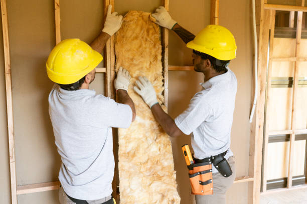 Best Insulation Air Sealing in Big Rock, IL